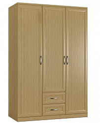 Шкаф распашной 3-х дверный "Гамма-6"