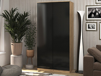 Шкаф 2-х дверный "Блэйн Д-1"