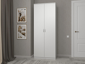 Шкаф распашной 2-х дверный "Зодиак-2" 