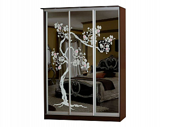 Шкаф-купе 3-х дверный "Лагуна-6"