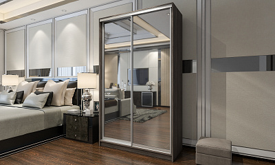 Шкаф купе 2-х дверный "Манхэттен-3"